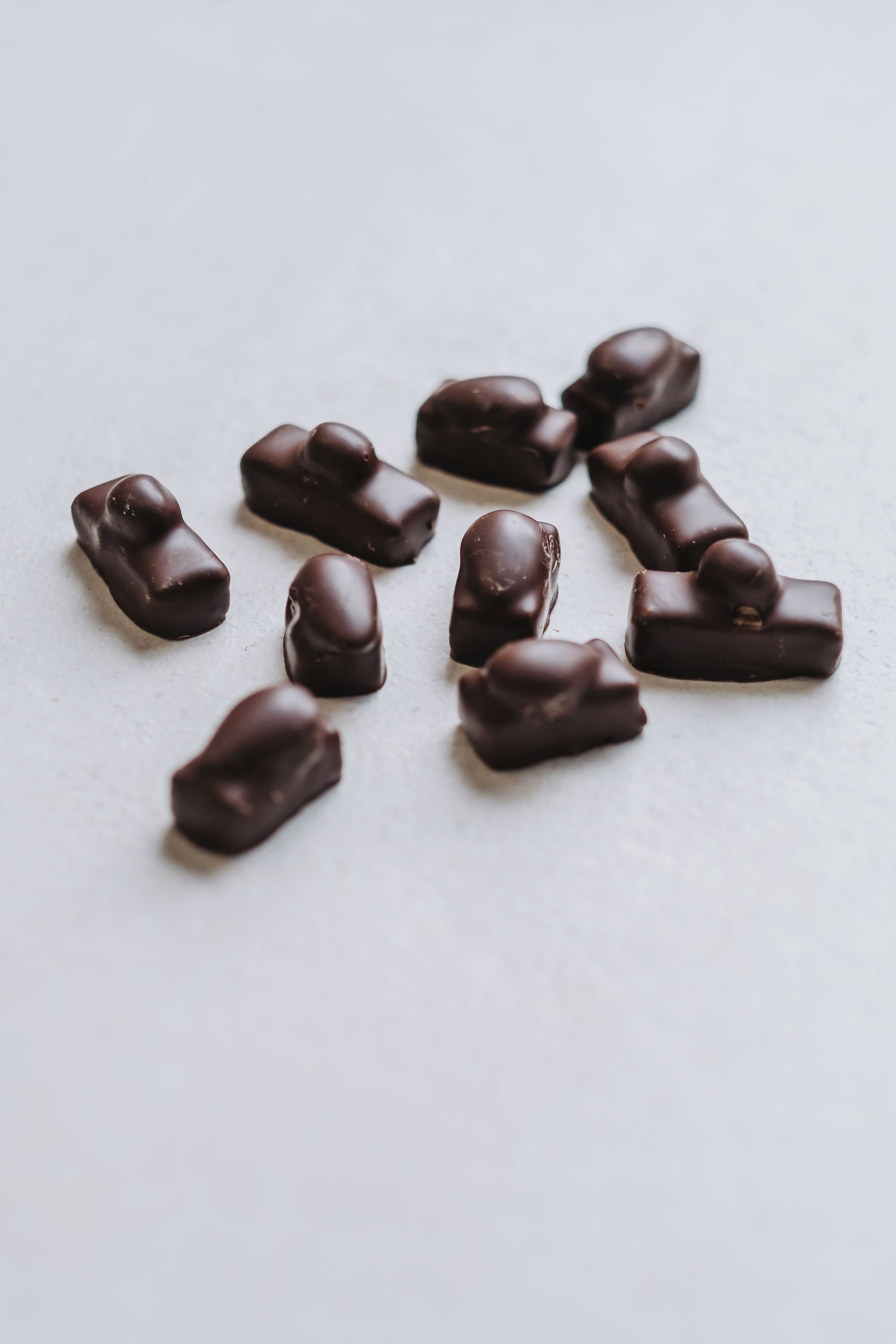 Duo de pralinés chocolat au LAIT